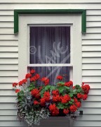 St. John's window